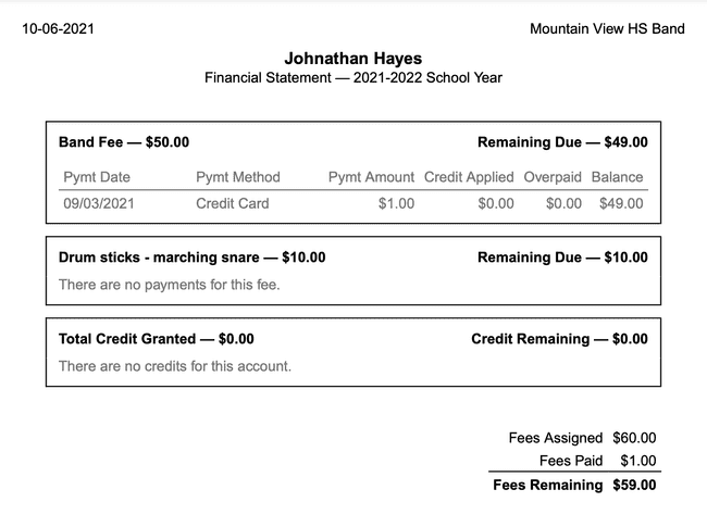 Financial Statement - Preview